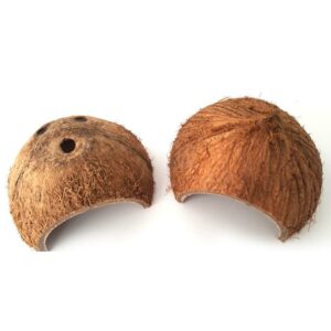 Reptile cache cave natural nest coconut shell