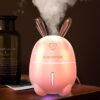 Rabbit humidifier atomizer