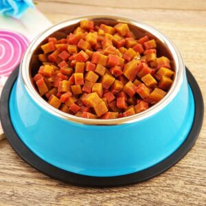 pet bowl pet feeding basin