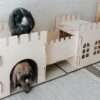 Rabbit Castle Export Quality Assembled Detachable Rabbit Wooden House Guinea Pig Guinea Pig Shelter