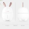 Rabbit humidifier atomizer