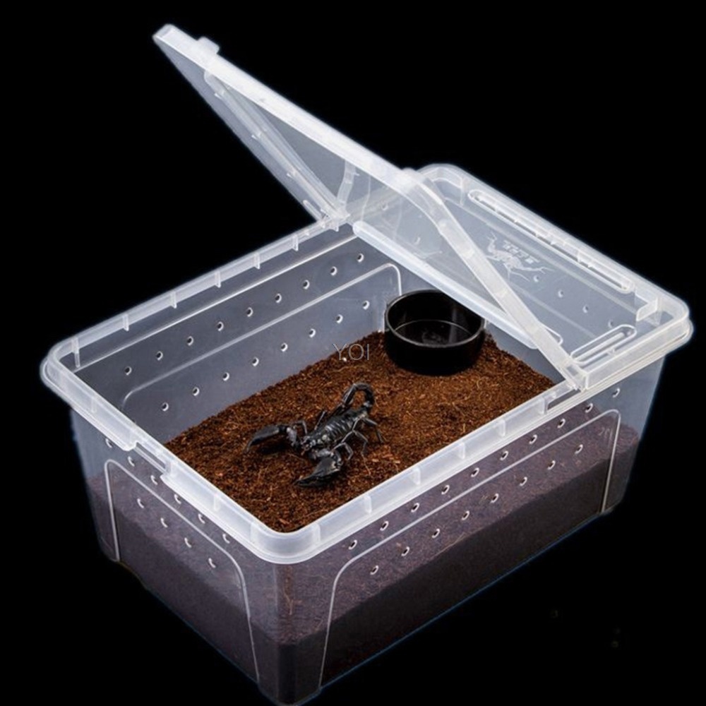 Plastic transparent reptile feeding box