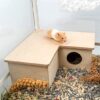 Hamster Multi-Room