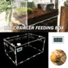 Reptile breeding box pet box