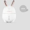 Rabbit humidifier atomizer