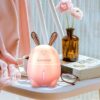 Rabbit humidifier atomizer