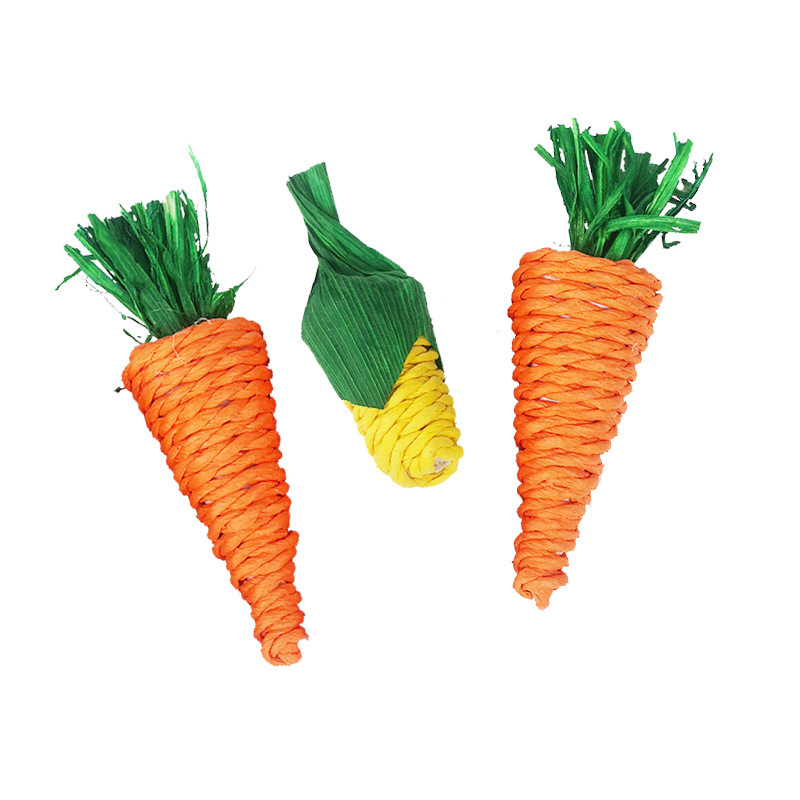 Hamster Toys Rabbit Molar Supplies Carrots