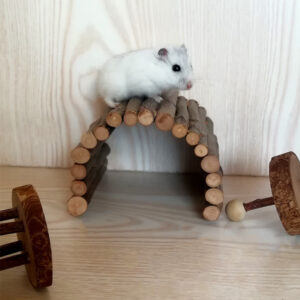 Hamster escape tunnel