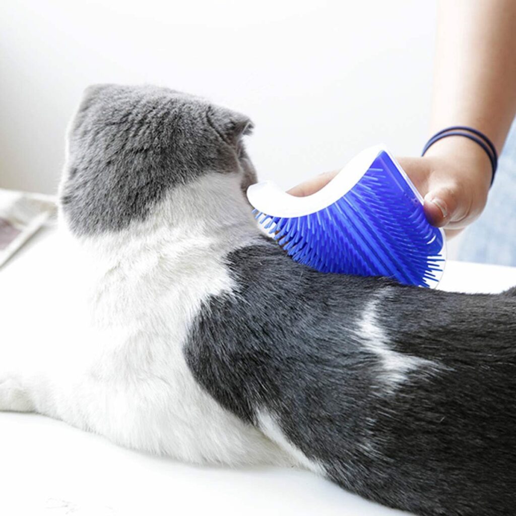 Cat Self Groomer Arch  Self Cleaning Slicker Brush Upgraded Cat Brushes Wall Corner For Shedding Grooming, Softer Massager Comb Interactive Toy For Short Long Haired Dog Kitten Puppy