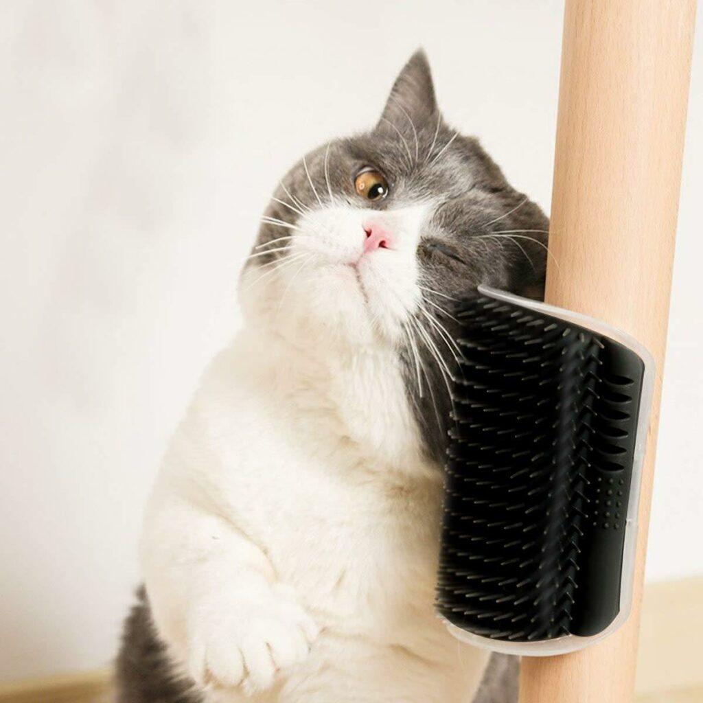 Cat Self Groomer Arch  Self Cleaning Slicker Brush Upgraded Cat Brushes Wall Corner For Shedding Grooming, Softer Massager Comb Interactive Toy For Short Long Haired Dog Kitten Puppy