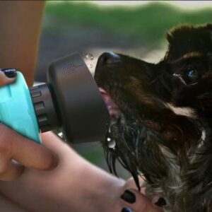 Pet Outdoor Foldable Bottle Dog Travel Water Bottle Dog Water Dispenser